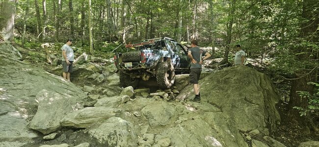 20240615_095446.jpg 20240615_095446.jpg