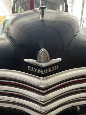 IMG_6906.jpeg