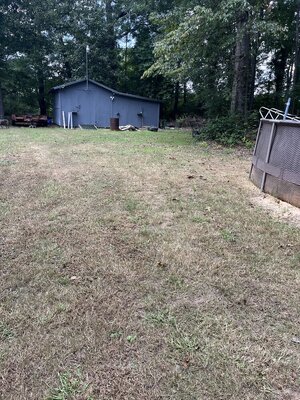 IMG_6916.jpeg