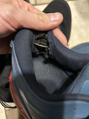 IMG_2397.jpeg IMG_2397.jpeg