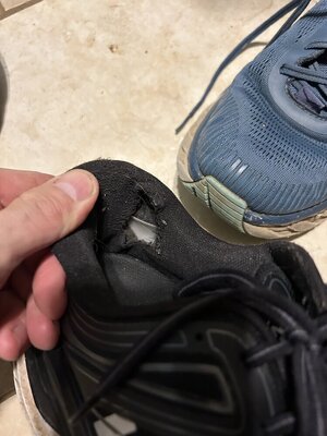 IMG_2399.jpeg IMG_2399.jpeg