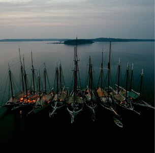 IMG_2408.jpeg