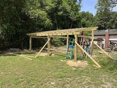 IMG_8341.jpeg IMG_8341.jpeg