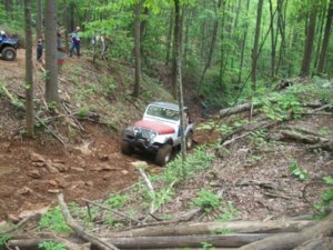 100_0703.JPG