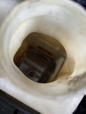 IMG_4430.jpeg