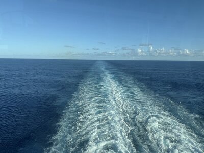 IMG_1200.jpeg