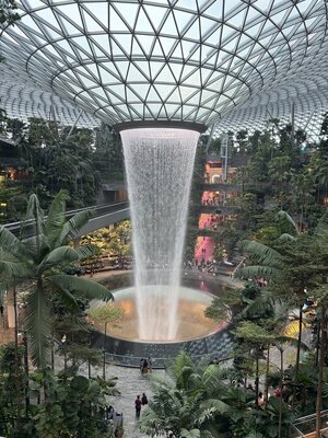 IMG_0265.jpeg