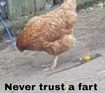 fart.jpg