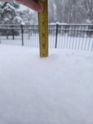 20260131_174931.jpg 20260131_174931.jpg