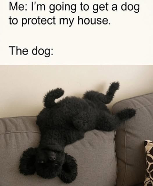 1771456900630.png