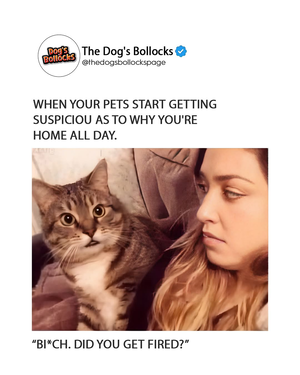 1771458457385.png