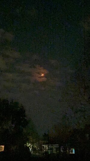 IMG_1013.jpeg