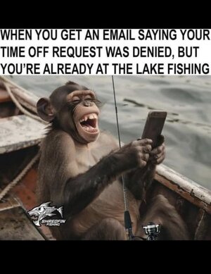 denied.jpeg