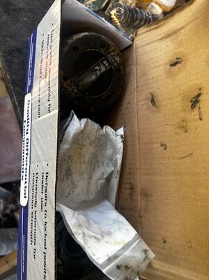 IMG_7502.jpeg