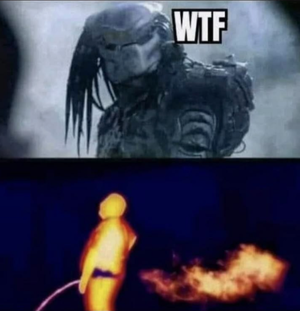 wtf.png