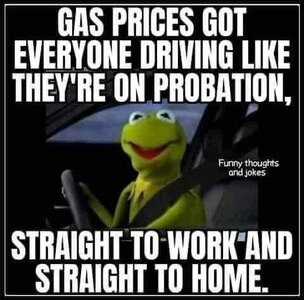 pro.jpg