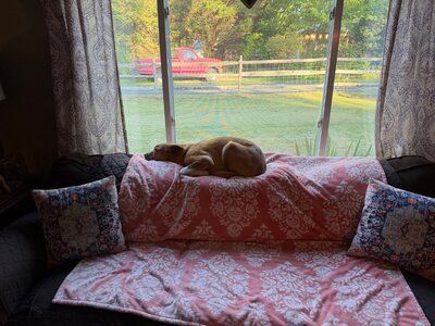 IMG_0426.jpeg