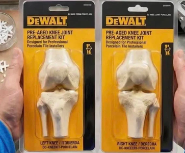 knee.png