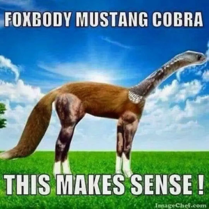 1778938047906.png