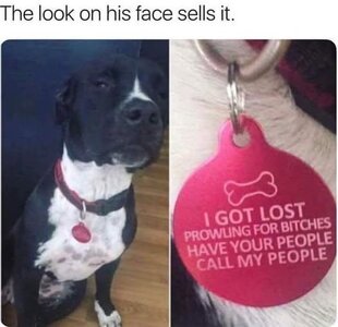 lost.jpeg