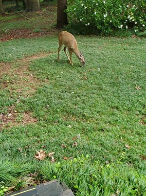 20260525_173624.jpg