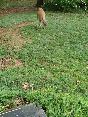 20260525_173616.jpg