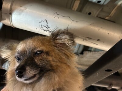 IMG_5833.jpeg