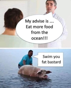 1781365661117.png