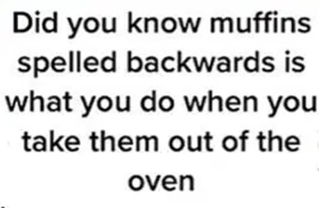 muff.jpg