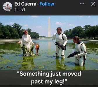 FB_IMG_1782336563430.jpg