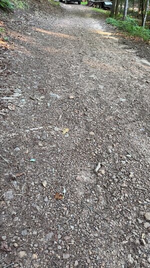 IMG_4913.jpeg
