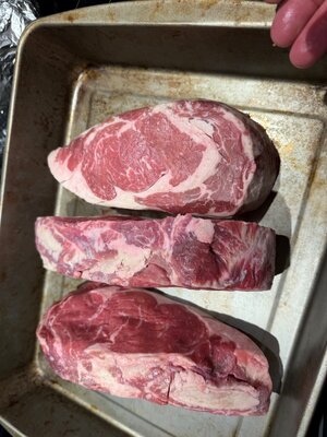 IMG_0931.jpeg