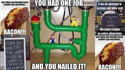 nailed.jpeg