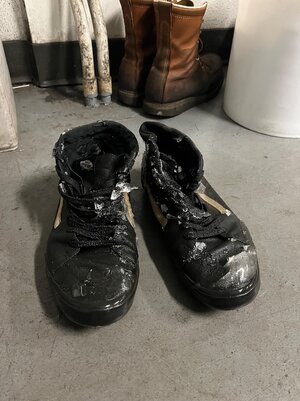 IMG_3477.jpeg