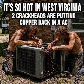 crack.jpeg