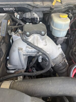 IMG_5224.jpeg IMG_5224.jpeg
