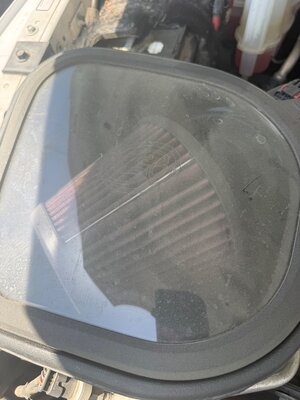 IMG_5225.jpeg IMG_5225.jpeg