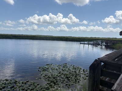IMG_2444.jpeg
