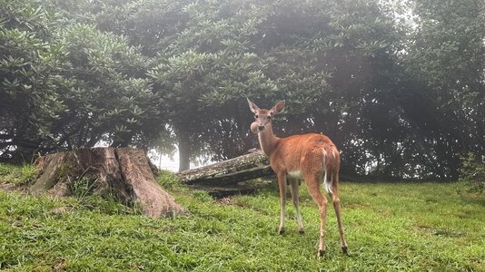 IMG_5506.jpeg
