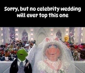 sorry.jpeg