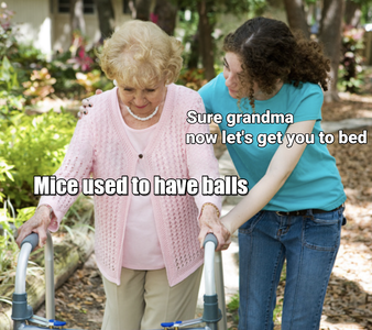 1785362696128.png