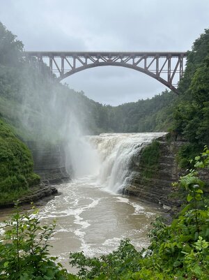 IMG_4111.jpeg