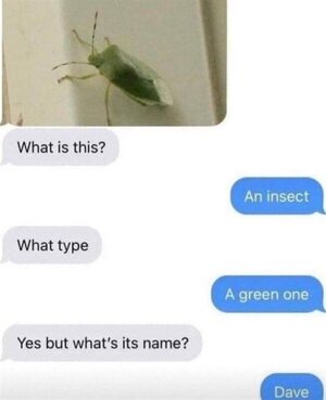 dave.jpeg