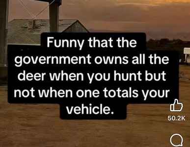 1786489285551.png