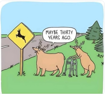 30.png