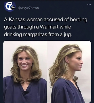 1786994394998.png