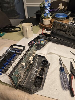 17729.jpg