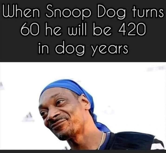 snoop.png