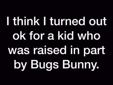 bugs.jpeg
