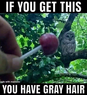 1787845531630.png